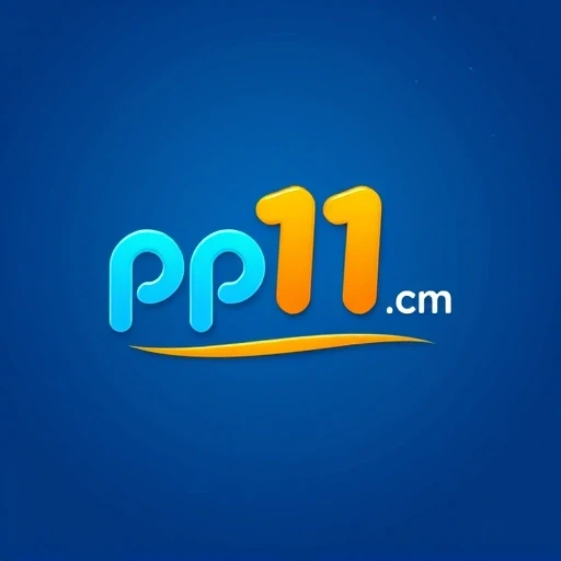 pp11.com